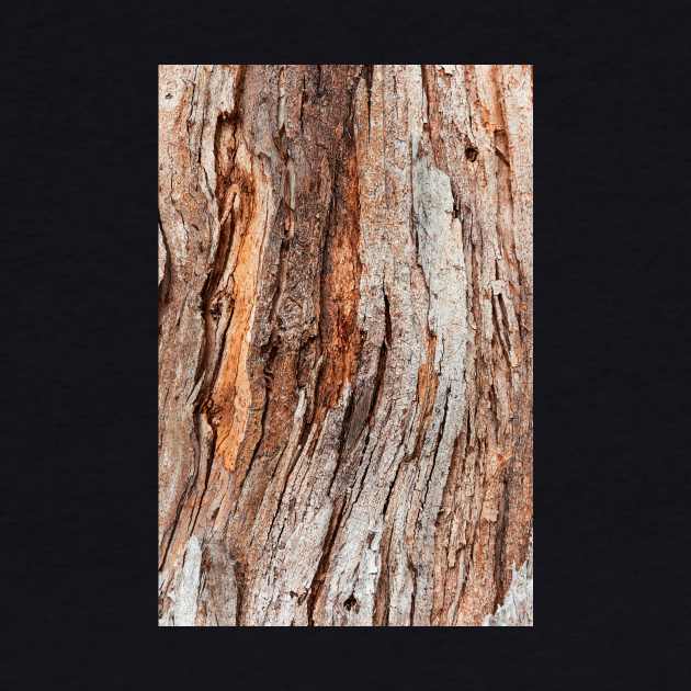 Tree Trunk Bark Surface by textural